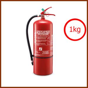 Fire Security