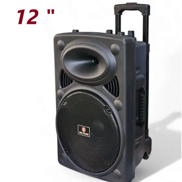 Silvertek 12 Inch Trolley Speaker